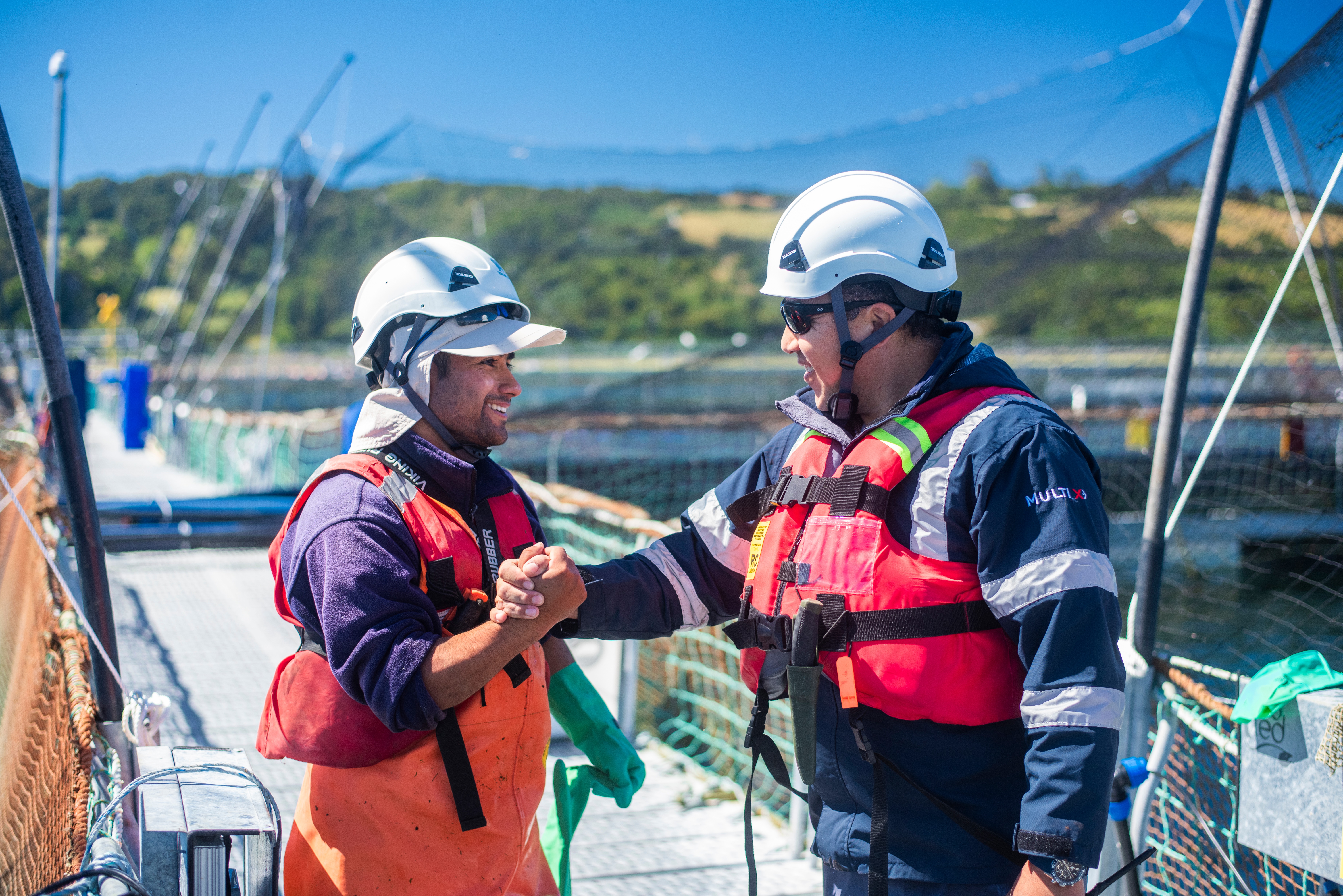 external_image external_image